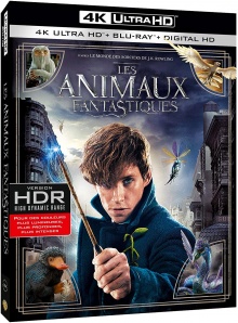 Les Animaux fantastiques (2016) de David Yates - Packshot Blu-ray 4K Ultra HD